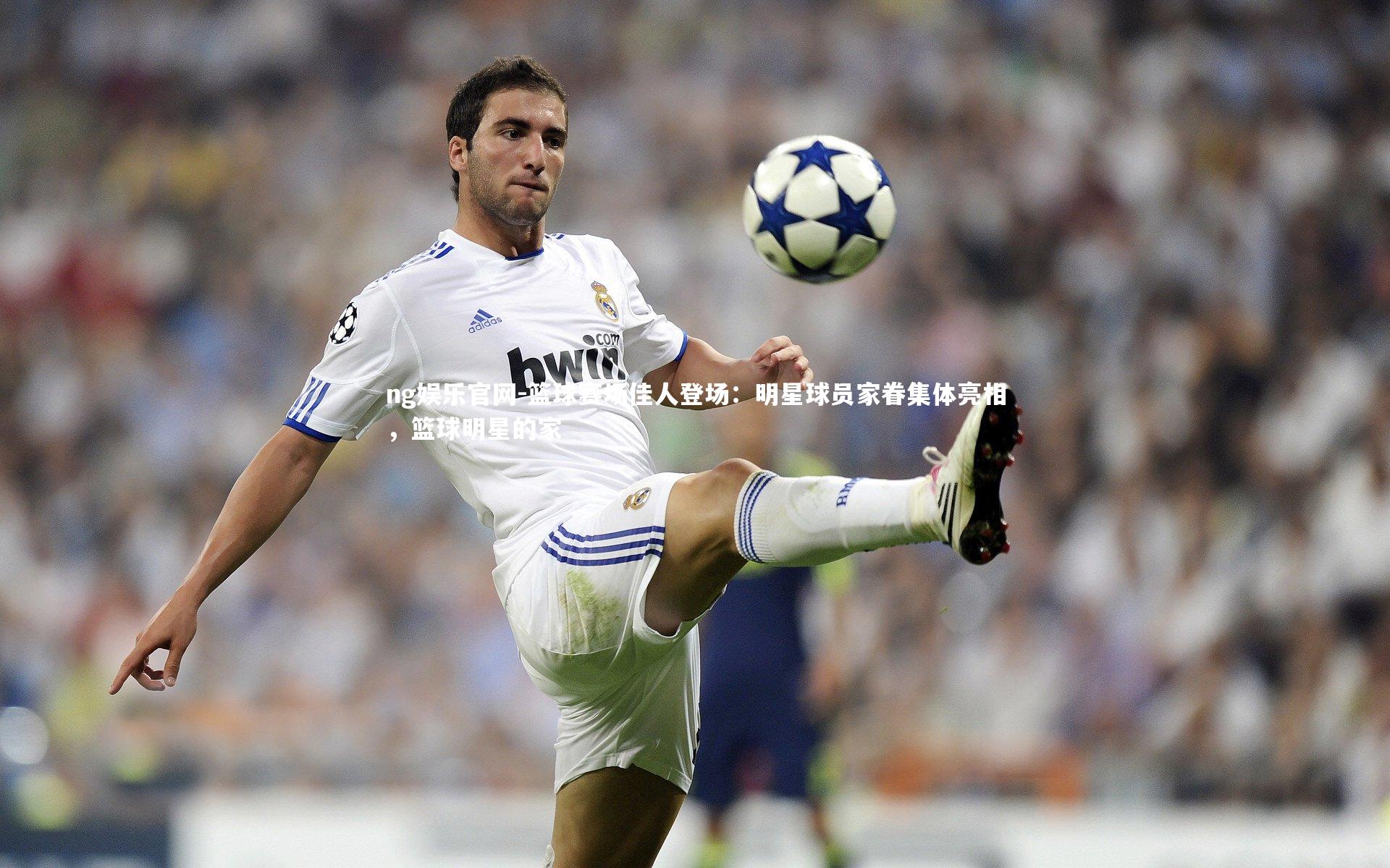 篮球赛场佳人登场：明星球员家眷集体亮相，篮球明星的家